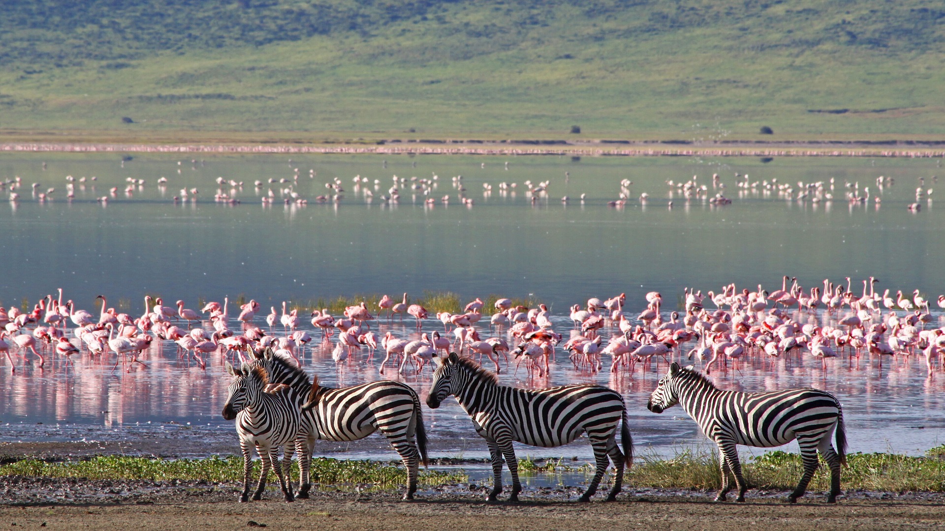 Enchanting Kenya