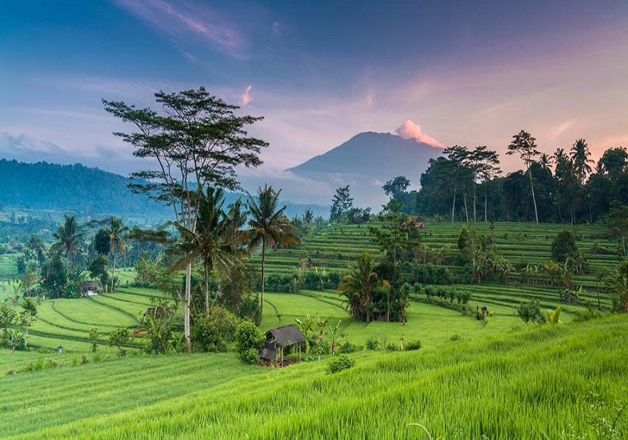 Grand Indonesia | Acqua Travels